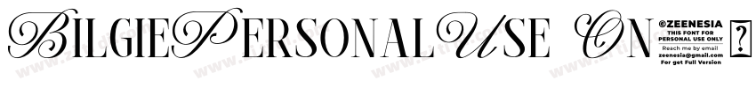 BilgiePersonalUse On字体转换